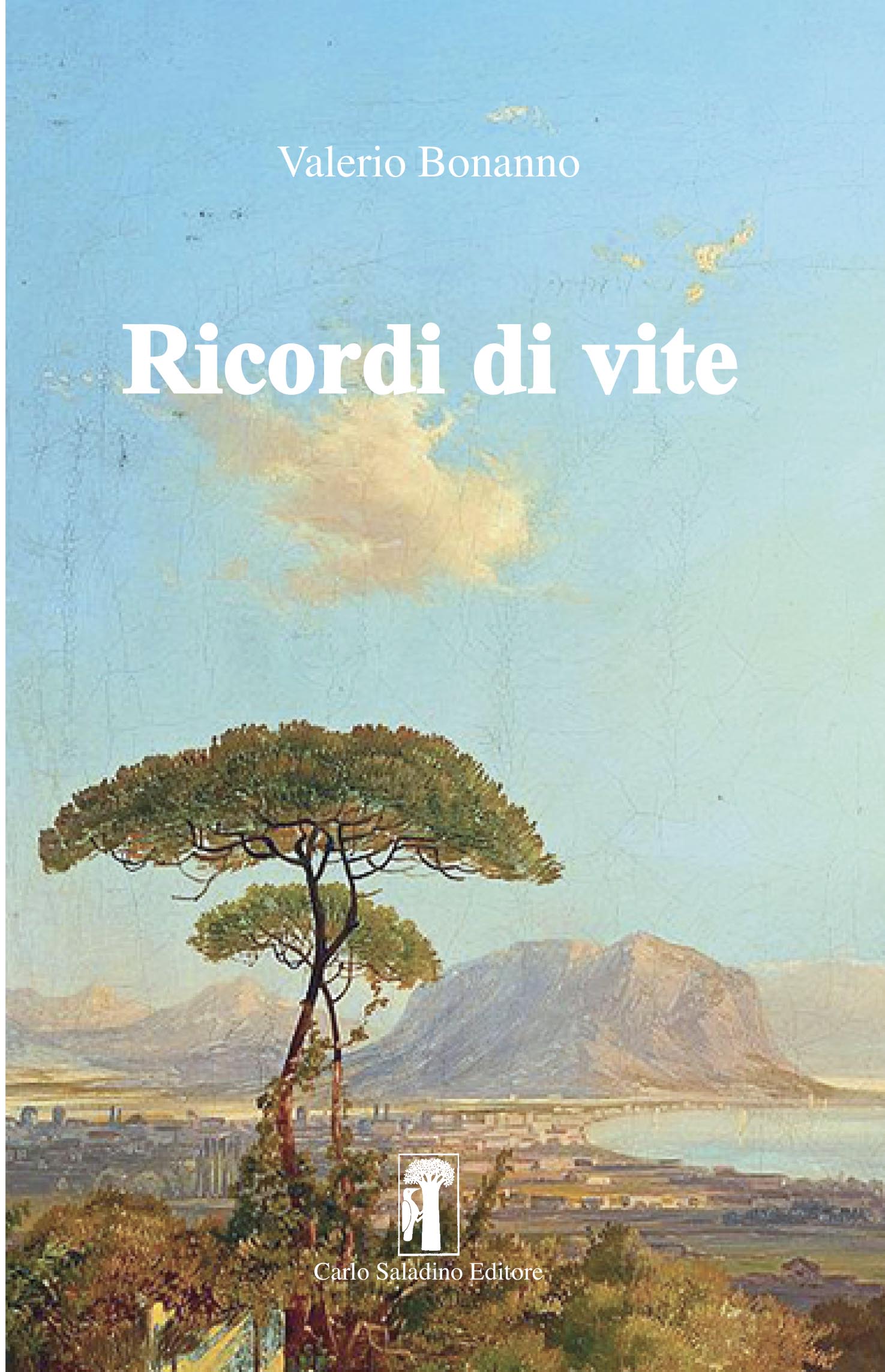 Ricordi di vite